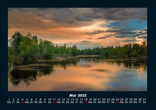 Produktbild: B&auml;ume 2025 Fotokalender DIN A4