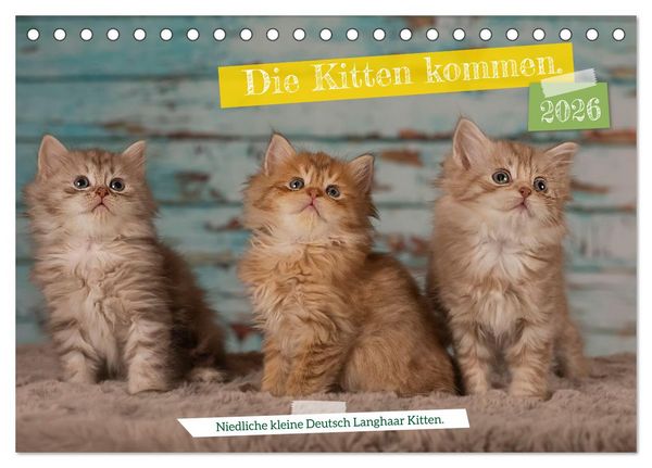Produktbild: Die Kitten kommen. (Tischkalender 2026 DIN A5 quer), CALVENDO Monatskalender