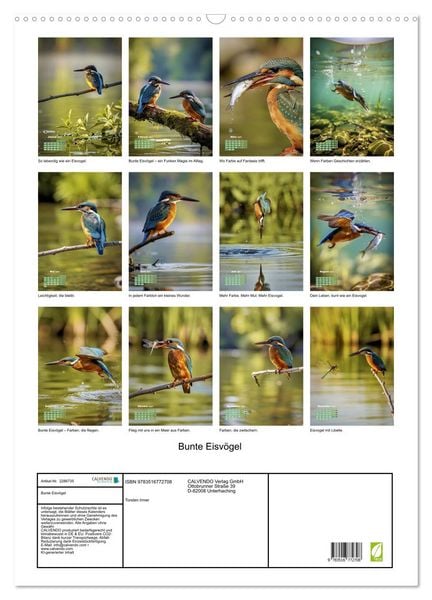 Produktbild: Bunte Eisv&ouml;gel (Wandkalender 2027 DIN A2 hoch), CALVENDO Monatskalender