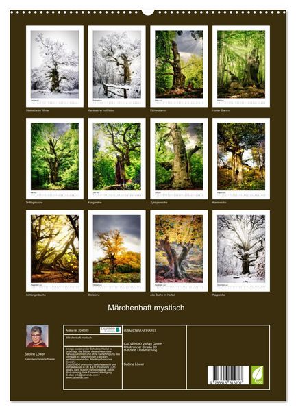Produktbild: M&auml;rchenhaft mystisch (hochwertiger Premium Wandkalender 2026 DIN A2 hoch), Kunstdruck in Hochglanz