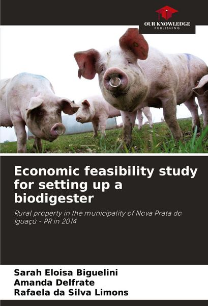 Produktbild: Economic feasibility study for setting up a biodigester