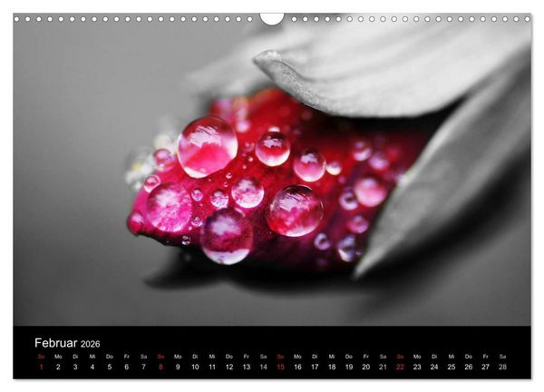 Produktbild: schwarz/wei&szlig; trifft farbe (Wandkalender 2026 DIN A3 quer), CALVENDO Monatskalender