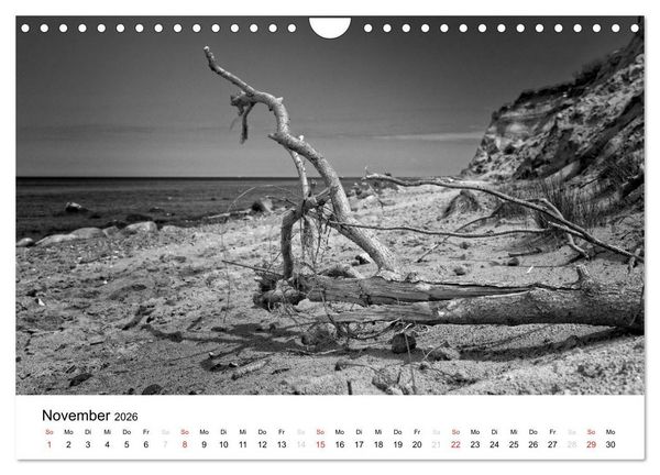 Produktbild: Ostseebad Zingst - Impressionen in Schwarz-Wei&szlig; (Wandkalender 2026 DIN A4 quer), CALVENDO Monatskalender