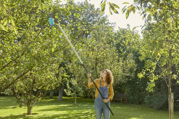 Produktbild: GARDENA combisystem Beerensammler 17400-20