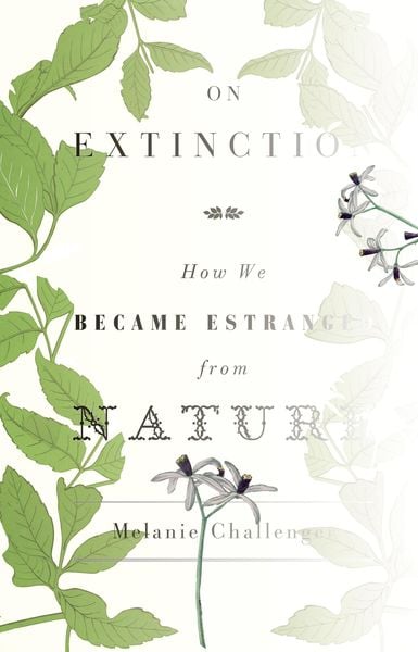 Produktbild: On Extinction