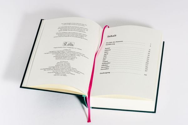 Produktbild: Ein Jahr des Staunens