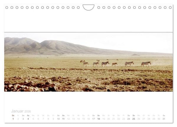 Produktbild: Serengeti Panorama (Wandkalender 2026 DIN A4 quer), CALVENDO Monatskalender