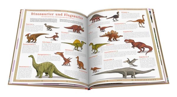Produktbild: Ausgestorben - Das Buch der verschwundenen Tiere