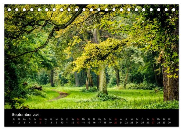 Produktbild: Mannheimer Waldpark (Tischkalender 2026 DIN A5 quer), CALVENDO Monatskalender