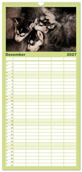 Produktbild: Familienplaner 2027 - Husky Welpen mit 5 Spalten (Wandkalender, 21 x 45 cm) CALVENDO