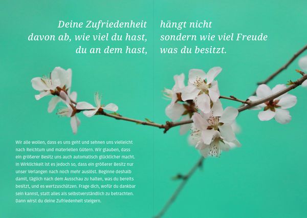 Produktbild: Wecke deine Lebensfreude