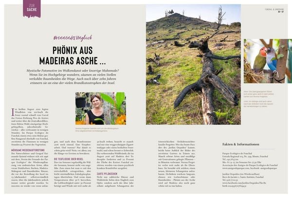 Produktbild: DUMONT Bildatlas Madeira