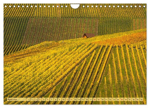 Produktbild: Farbenpr&auml;chtige Weinberge (Wandkalender 2026 DIN A4 quer), CALVENDO Monatskalender