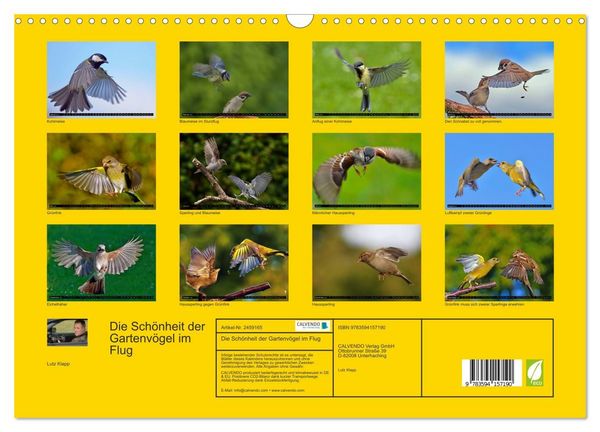 Produktbild: Die Sch&ouml;nheit der Gartenv&ouml;gel im Flug (Wandkalender 2027 DIN A3 quer), CALVENDO Monatskalender