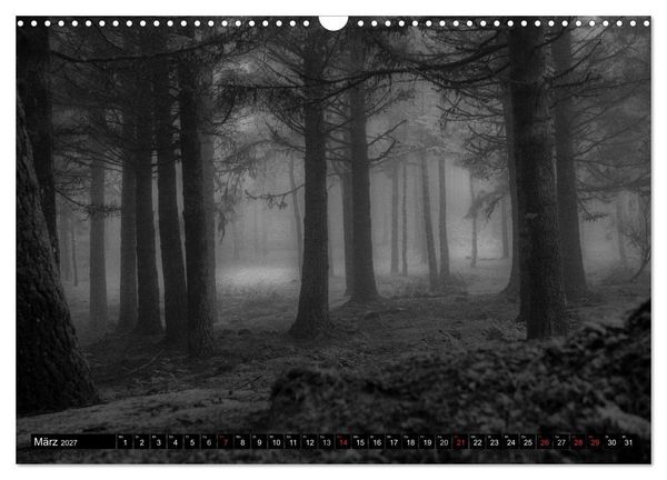 Produktbild: Stille Momente in Schwarz-Weiss (Wandkalender 2027 DIN A3 quer), CALVENDO Monatskalender