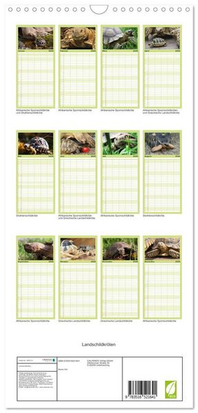 Produktbild: Familienplaner 2026 - Landschildkr&ouml;ten mit 5 Spalten (Wandkalender, 21 x 45 cm) CALVENDO