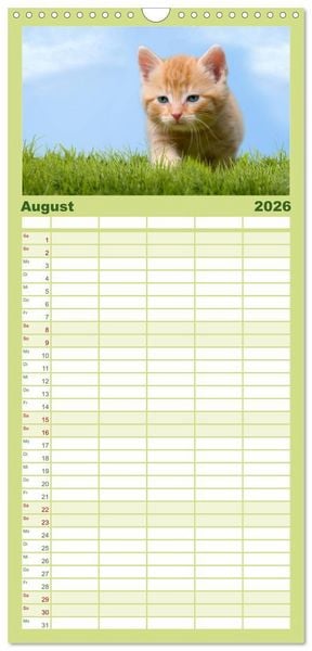 Produktbild: Familienplaner 2026 - K&auml;tzchen 2026 mit 5 Spalten (Wandkalender, 21 x 45 cm) CALVENDO