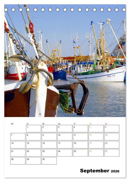 Produktbild: Vielseitiges B&uuml;sum (Tischkalender 2026 DIN A5 hoch), CALVENDO Monatskalender