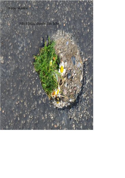 Produktbild: Mit Haiku durch das Jahr