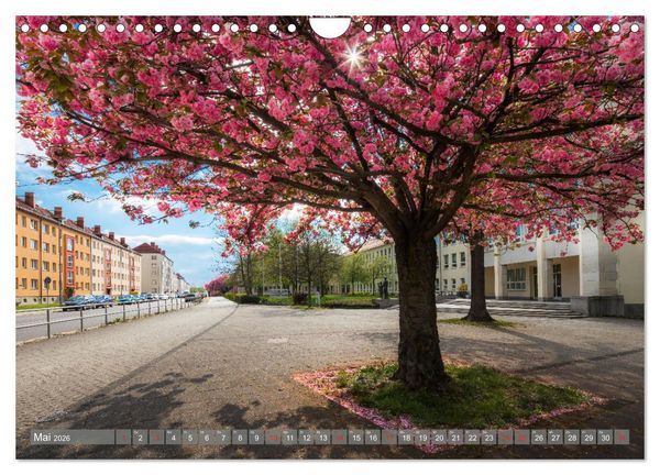 Produktbild: Chemnitz - Stadt und Natur (Wandkalender 2026 DIN A4 quer), CALVENDO Monatskalender
