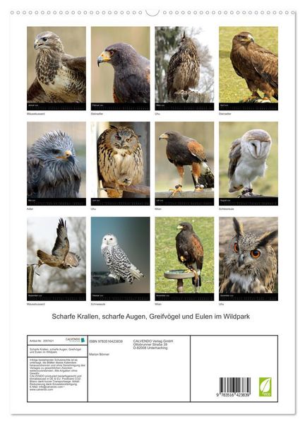 Produktbild: Scharfe Krallen, scharfe Augen, Greifv&ouml;gel und Eulen im Wildpark (hochwertiger Premium Wandkalender 2026 DIN A2 hoch), Kunstdruck in Hochglanz
