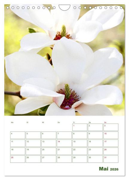 Produktbild: Wei&szlig;e Bl&uuml;ten im Gr&uuml;nen (Wandkalender 2026 DIN A4 hoch), CALVENDO Monatskalender