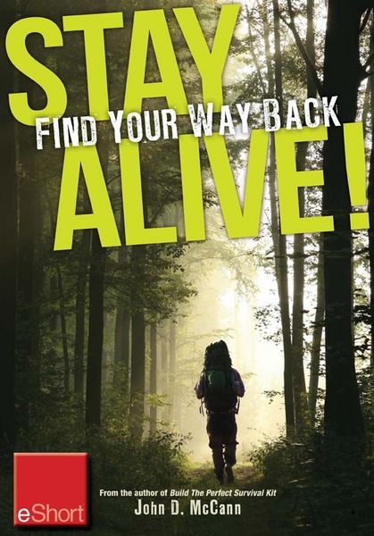 Produktbild: Stay Alive - Find Your Way Back eShort