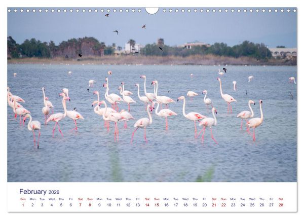 Produktbild: Kos Island - The Island of Hippocrates (Wall Calendar 2026 DIN A3 landscape), CALVENDO 12 Month Wall Calendar