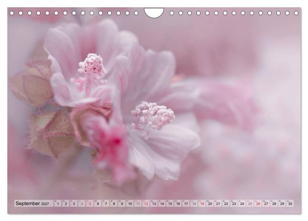 Produktbild: Farbenfroher Bl&uuml;tentraum (Wandkalender 2027 DIN A4 quer), CALVENDO Monatskalender