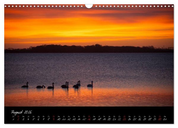 Produktbild: R&uuml;gen-Impressionen (Wandkalender 2026 DIN A3 quer), CALVENDO Monatskalender