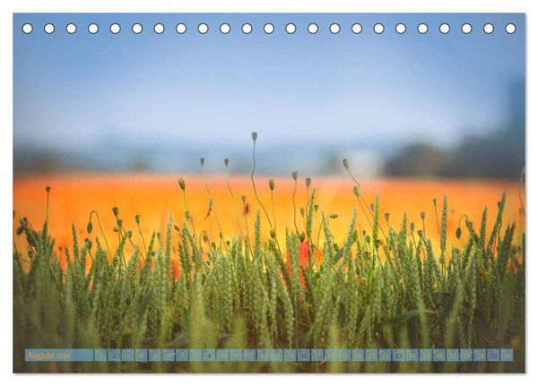 Produktbild: Natursch&ouml;nheiten - mit Bl&uuml;ten und Pflanzen durch das Jahr (Tischkalender 2026 DIN A5 quer), CALVENDO Monatskalender