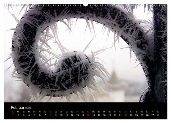 Produktbild: Jahreszeiten / 2026 (Wandkalender 2026 DIN A2 quer), CALVENDO Monatskalender