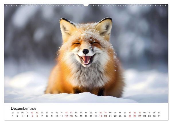 Produktbild: Magic Animals (hochwertiger Premium Wandkalender 2026 DIN A2 quer), Kunstdruck in Hochglanz