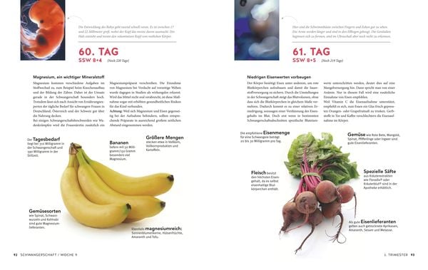 Tag für Tag durch meine Schwangerschaft
