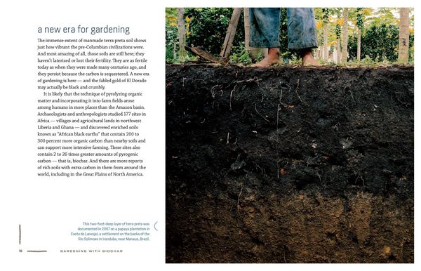 Produktbild: Gardening with Biochar