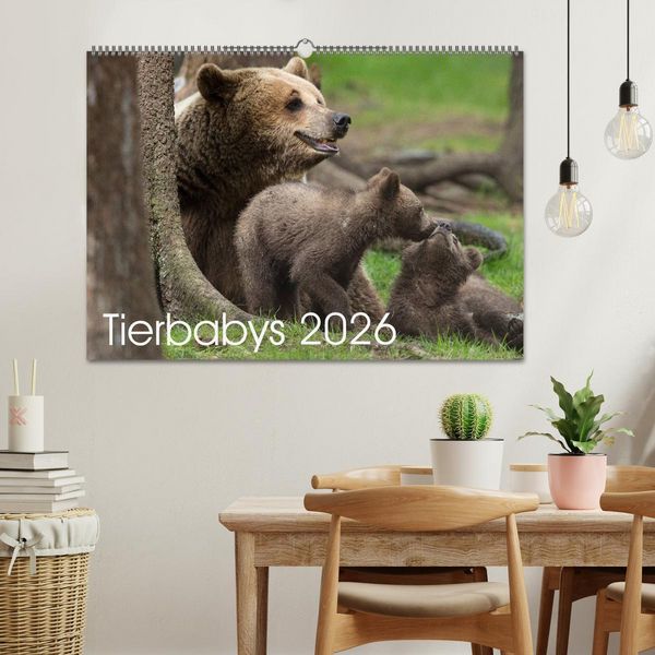 Produktbild: Tierbabys 2026 (Wandkalender 2026 DIN A2 quer), CALVENDO Monatskalender