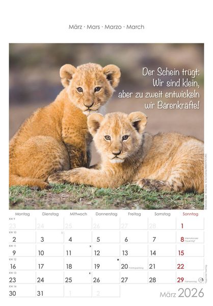Produktbild: Kleine Freunde 2026 - Bildkalender 23,7x34 cm - Kalender mit Platz für Notizen - mit vielen Zusatzinformationen - Wandkalender - Alpha Edition