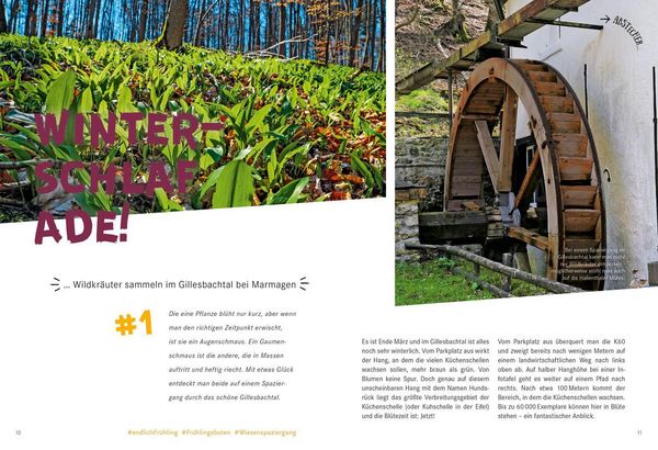 Produktbild: 52 kleine & gro&szlig;e Eskapaden in der Eifel
