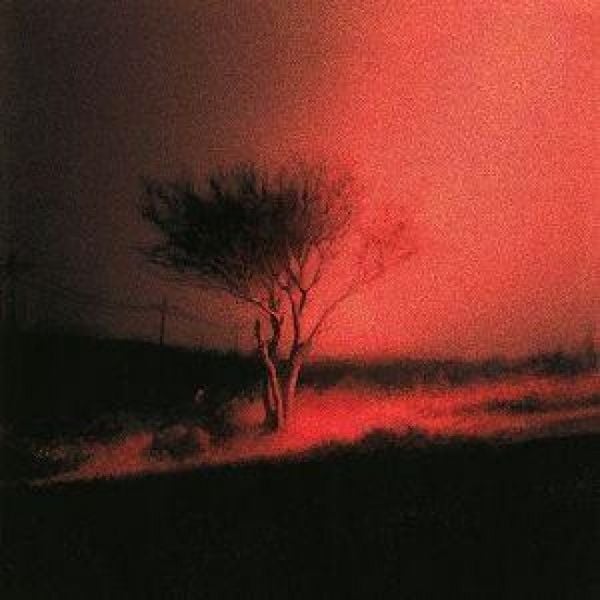 Produktbild: Piss In The Wind