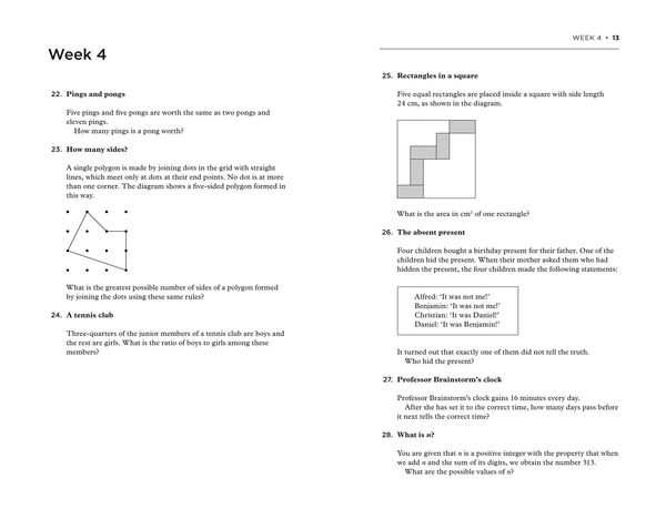 Produktbild: The Ultimate Mathematical Challenge