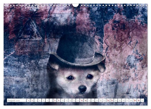 Produktbild: Hund tr&auml;gt Hut (Wandkalender 2026 DIN A3 quer), CALVENDO Monatskalender