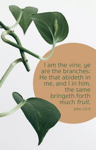 Produktbild: General Worship Bulletin: Much Fruit (Package of 100)