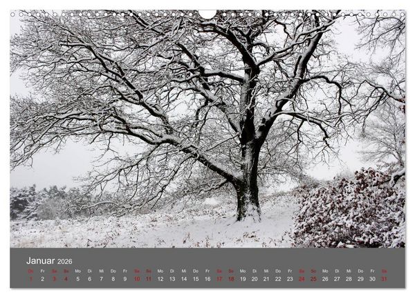 Produktbild: Wahner Heide - Aussichten und Begegnungen (Wandkalender 2026 DIN A3 quer), CALVENDO Monatskalender