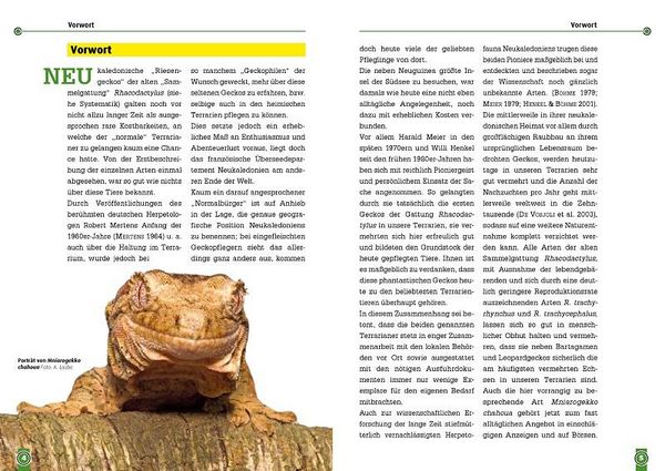 Produktbild: S&uuml;dlicher und N&ouml;rdlicher Flechtengecko
