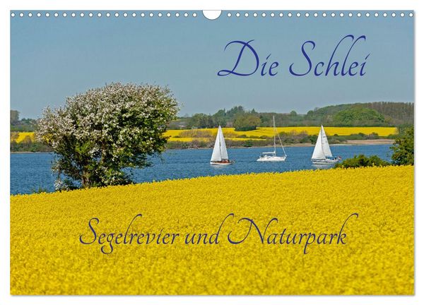 Die Schlei - Segelrevier und Naturpark (Wandkalender 2026 DIN A3 quer), CALVENDO Monatskalender