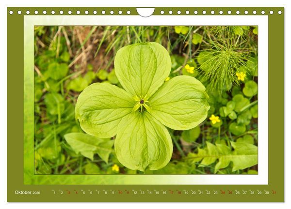 Produktbild: Das vergessene Tal. Schnalstal - Val Senales (Wandkalender 2026 DIN A4 quer), CALVENDO Monatskalender
