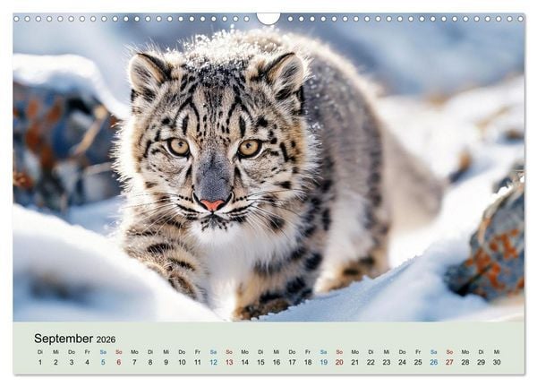 Produktbild: Tierkinder in Eis und Schnee (Wandkalender 2026 DIN A3 quer), CALVENDO Monatskalender