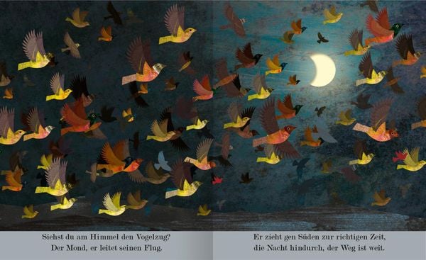 Mond