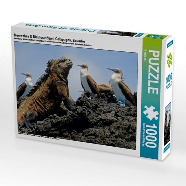 Produktbild: Meerechse & Blaufusst&ouml;lpel, Galapagos, Ecuador (Puzzle)