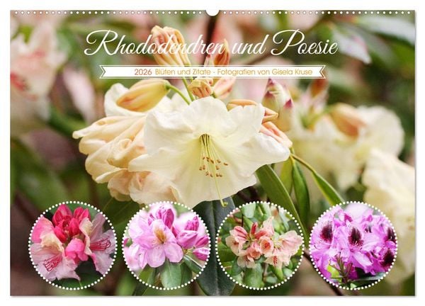 Produktbild: Rhododendren und Poesie (Wandkalender 2026 DIN A2 quer), CALVENDO Monatskalender